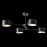 Потолочная люстра Evoluce SLE183402-04
