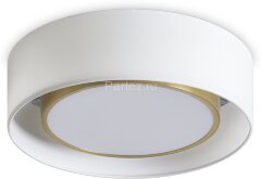 Потолочный светильник Freya FR6170CL-L52BS