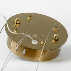 Подвесная люстра Lussole LGO LSP-7217