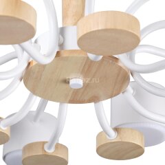 Потолочная люстра Lumion 8196/10C