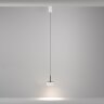 Подвесной светильник Maytoni P102PL-12W4K-W