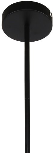 Потолочная люстра F-Promo 3094-6P