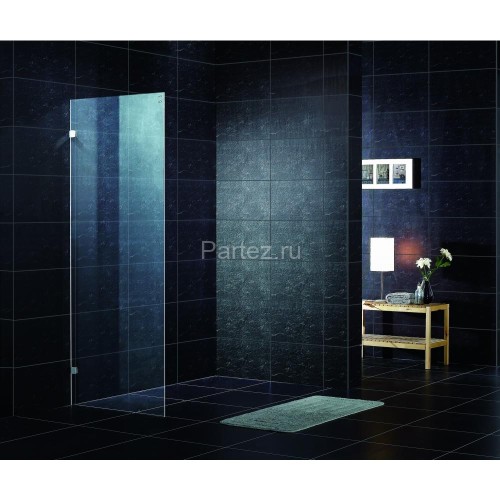 Душевое ограждение Roca Area боковая панель 80х200 хром (MP0608012M)