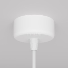 Подвесной светильник Maytoni P038PL-01W