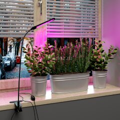 Настольная лампа для растений Elektrostandard FT-004 чёрный