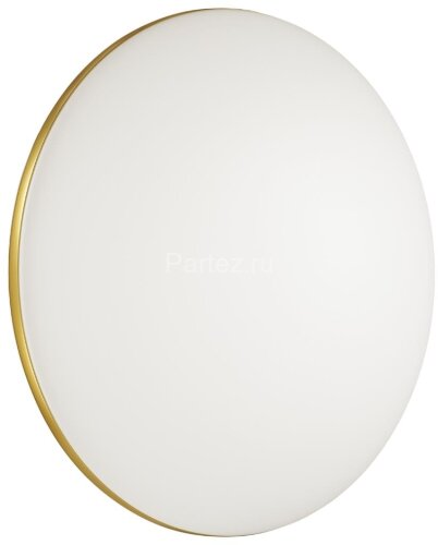 Настенно-потолочный светильник Sonex 3043/DL