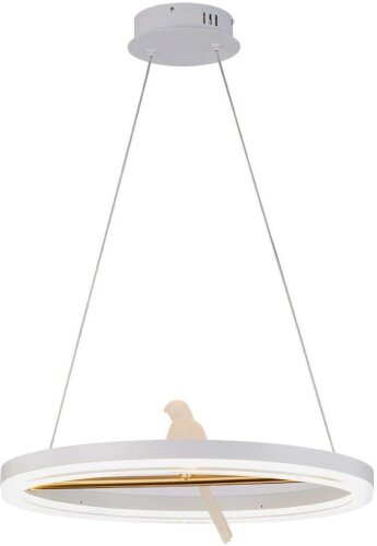 Подвесной светильник F-Promo 4653-1P