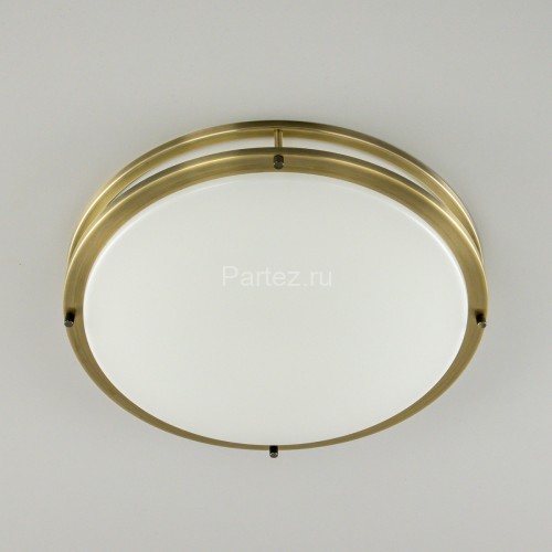 Настенно-потолочный светильник Citilux CL709503N