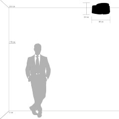 Потолочный светильник Lightstar 811030