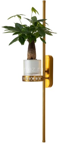 Бра Favourite 4050-2W