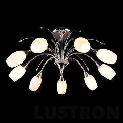Потолочная люстра Eurosvet 22080/9 хром