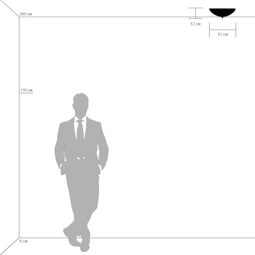 Потолочный светильник Lightstar 820234