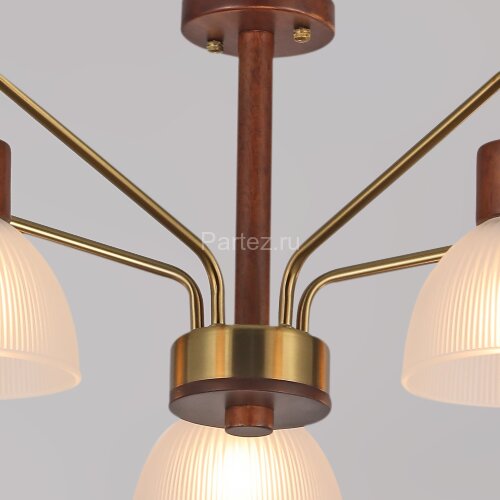 Потолочная люстра ILLUMICO IL0286-5C-79 BR