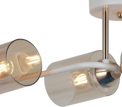 Потолочная люстра ILLUMICO IL8148-6COU-79 WH GD