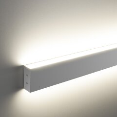 Настенный светильник Elektrostandard 101-100-40-128