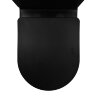 Унитаз-компакт Azario Black Queen 370х605х800 безободковый, с быстросъемным сиденьем микролифт, черн