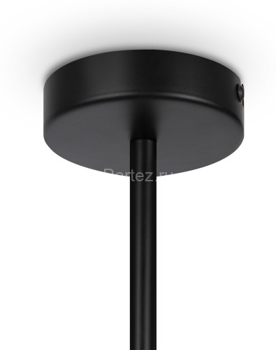 Потолочная люстра Maytoni MOD177PL-04B