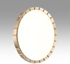 Настенно-потолочный светильник Sonex 7648/CL