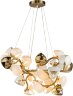 Подвесная люстра Lussole LSP-8909