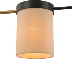 Потолочная люстра Freya FR5377CL-04B