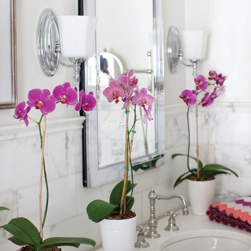 Бра Hinkley HK-SHELLY1-BATH