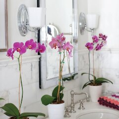 Бра Hinkley HK-SHELLY1-BATH