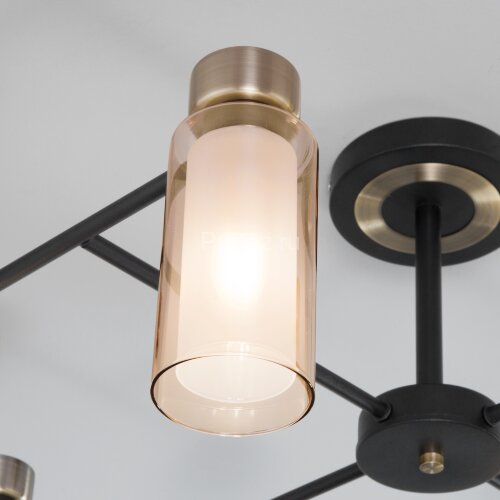 Потолочная люстра Eurosvet 70115/8 черный