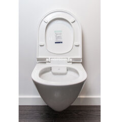 Унитаз подвесной Jaquar безободковый, микролифт, монтажный набор, 370x515x350 мм