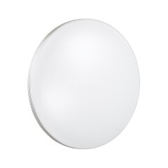 Настенно-потолочный светильник Sonex 3016/CL