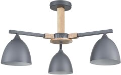 Потолочная люстра Lumion 8096/3C