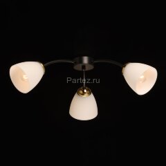 Потолочная люстра DeMarkt 676016903