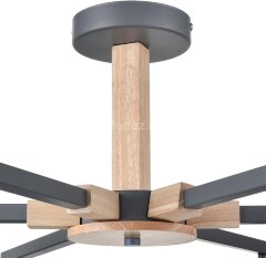 Потолочная люстра Lumion 8096/6C