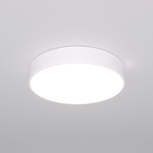 Потолочный светильник Eurosvet 90319/1 белый