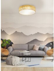 Потолочный светильник Eglo 97641