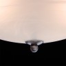 Потолочная люстра MW-Light 323012603
