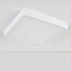 Потолочный светильник Elektrostandard DLS034 18W 4200K