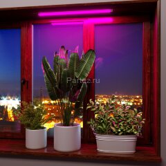 Светильник для растений Elektrostandard FT-001 белый