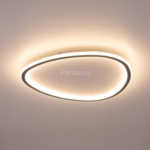 Потолочный светильник Citilux CL215B251E