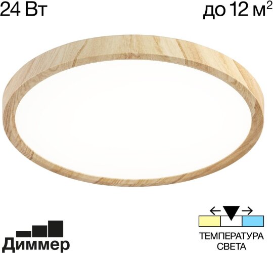 Настенно-потолочный светильник Citilux CL738242V