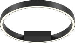 Потолочный светильник Maytoni MOD058CL-L25BK