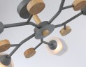 Потолочная люстра Ambrella TR3033233