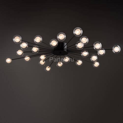 Потолочная люстра Freya FR5242CL-24B1