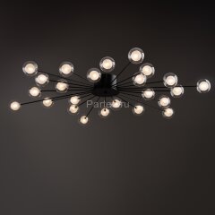 Потолочная люстра Freya FR5242CL-24B1