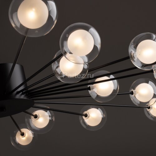 Потолочная люстра Freya FR5242CL-24B1