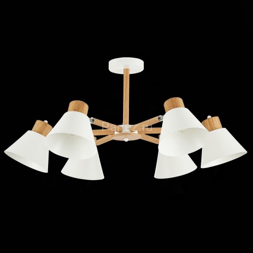 Потолочная люстра Evoluce SLE103702-06