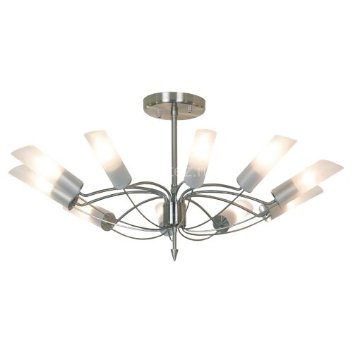 Потолочная люстра Lussole LSA-2813-10