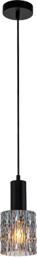 Подвесной светильник Escada 10189/1S Black