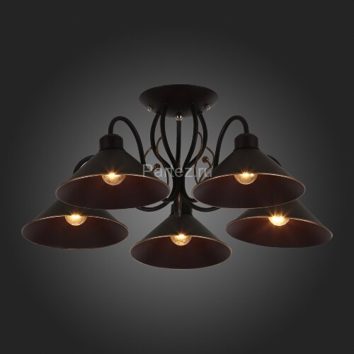 Потолочная люстра Evoluce SLE120402-05