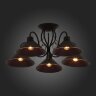 Потолочная люстра Evoluce SLE120402-05