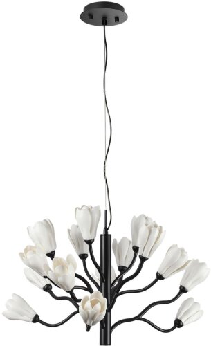 Подвесная люстра Odeon Light 5090/15